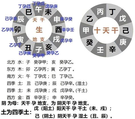 丁五行|十二地支藏干 十二地支五行属性对照表